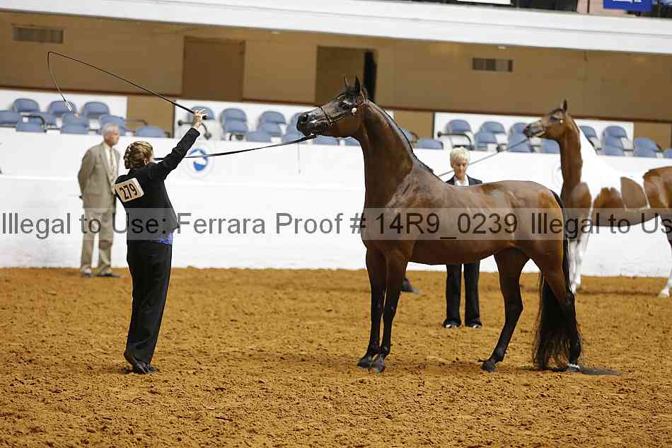 Proof Number 14r9_0239