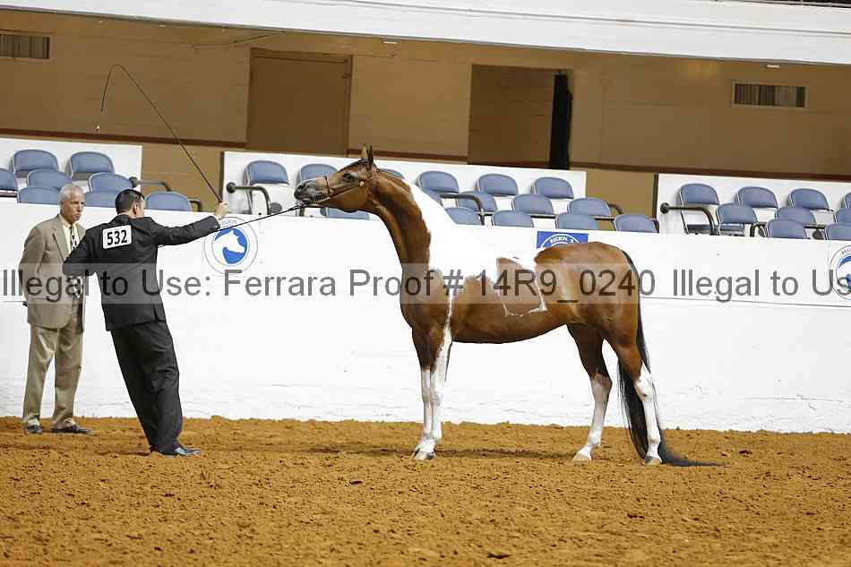 Proof Number 14r9_0240