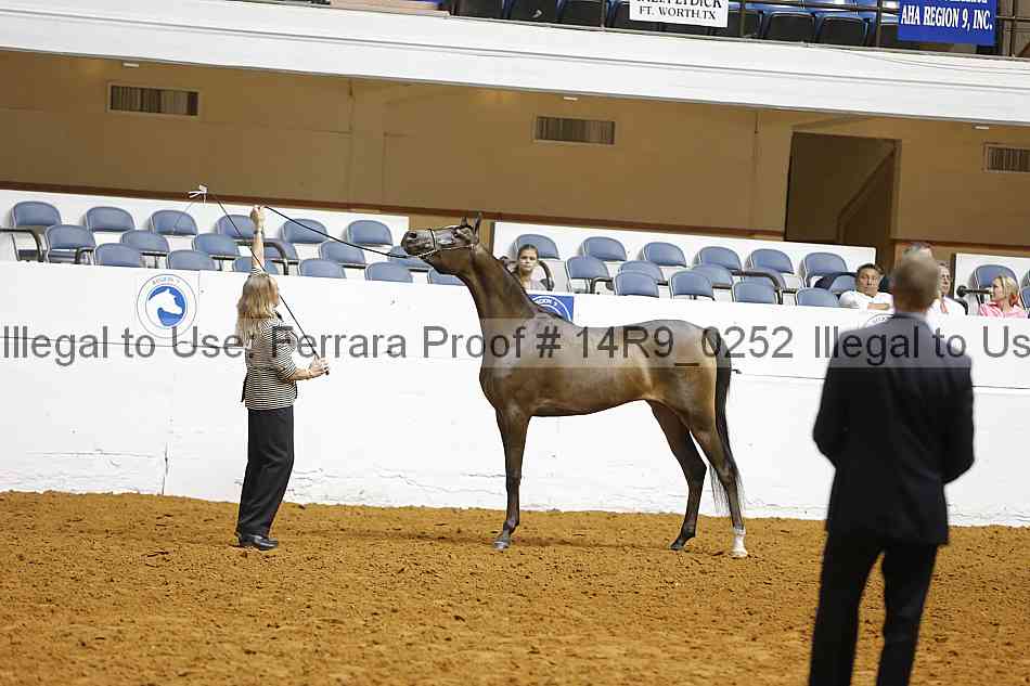 Proof Number 14r9_0252
