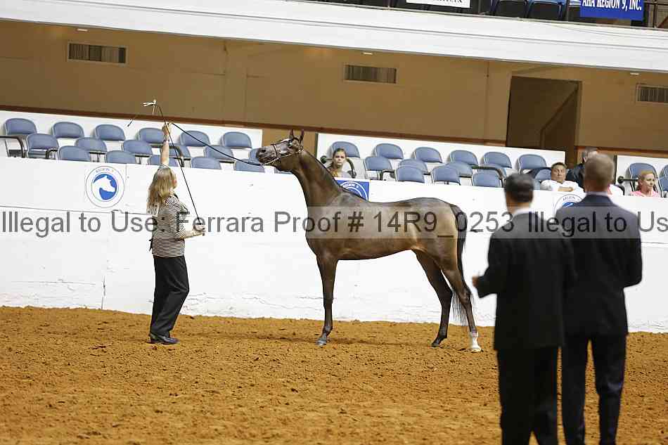 Proof Number 14r9_0253