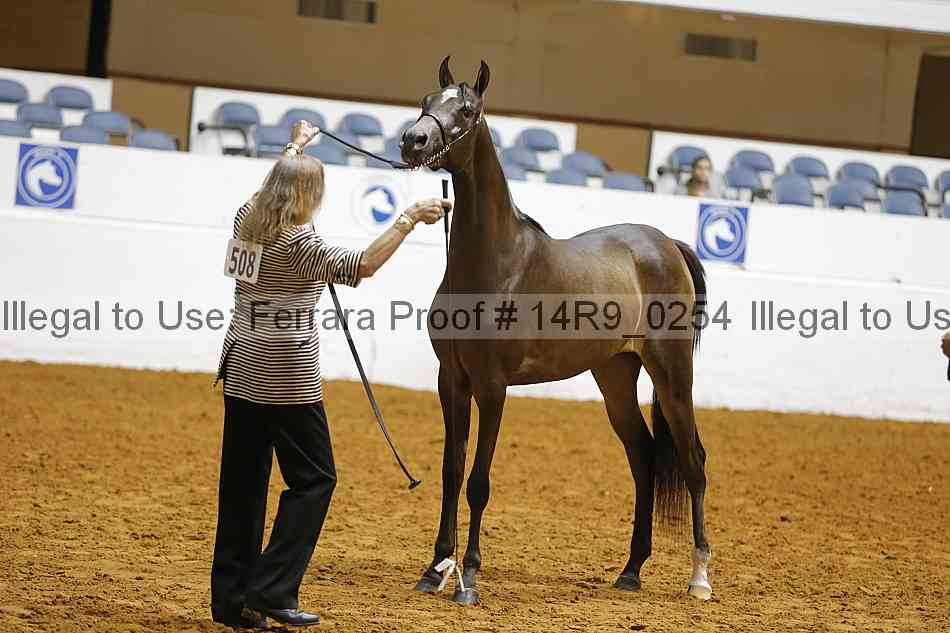 Proof Number 14r9_0254