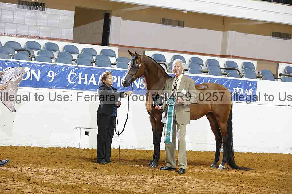 Proof Number 14r9_0257