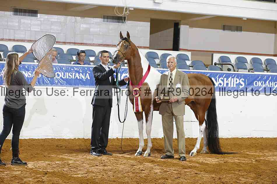 Proof Number 14r9_0264