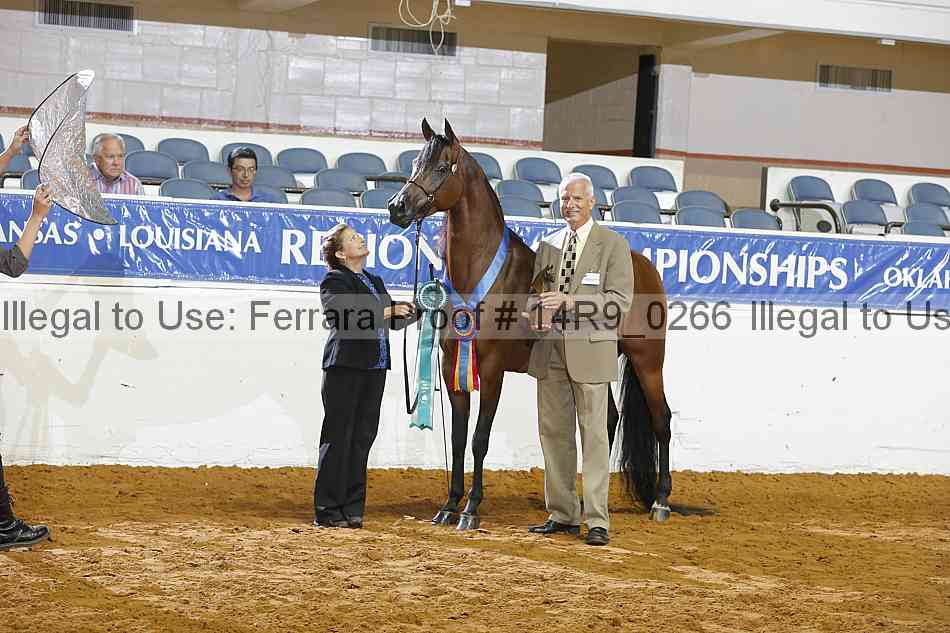 Proof Number 14r9_0266
