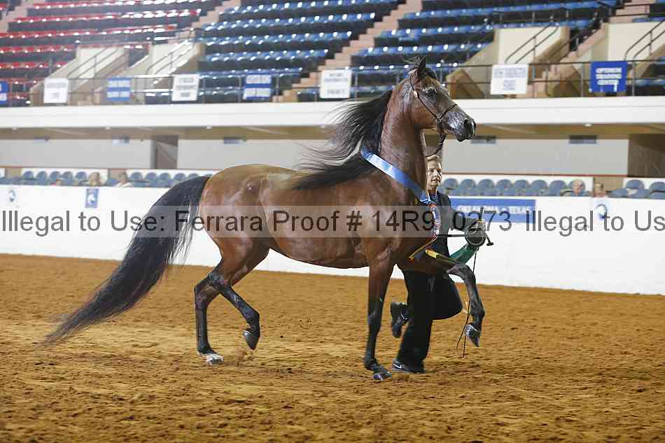 Proof Number 14r9_0273