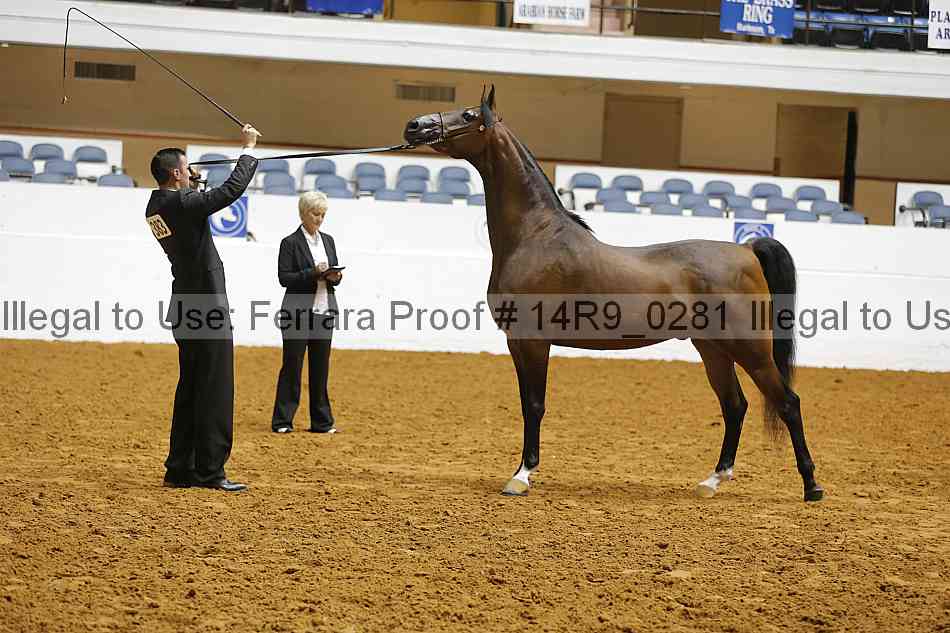 Proof Number 14r9_0281