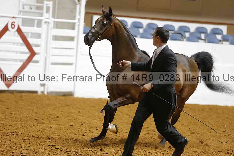 Proof Number 14r9_0283