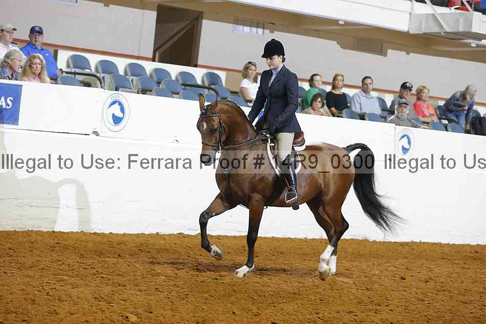 Proof Number 14r9_0300