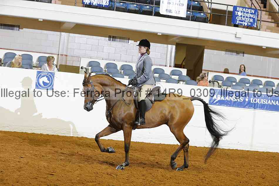 Proof Number 14r9_0309