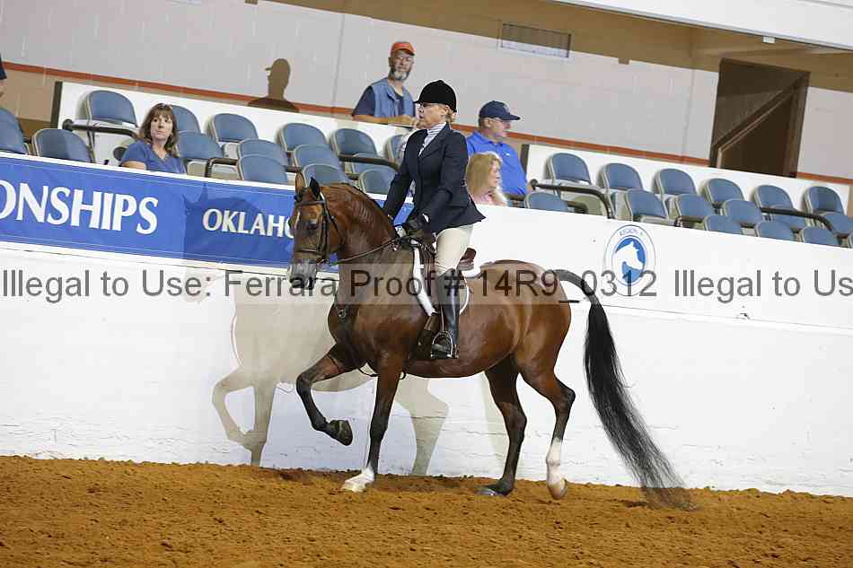 Proof Number 14r9_0312