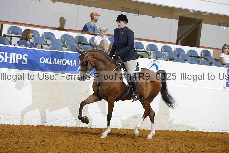 Proof Number 14r9_0325