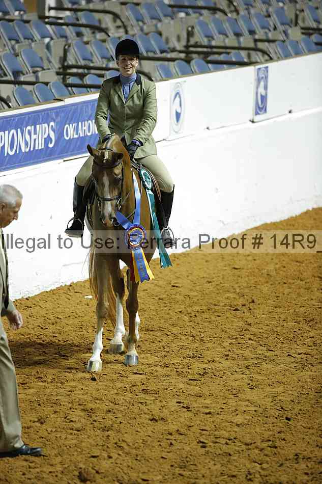 Proof Number 14r9_0335
