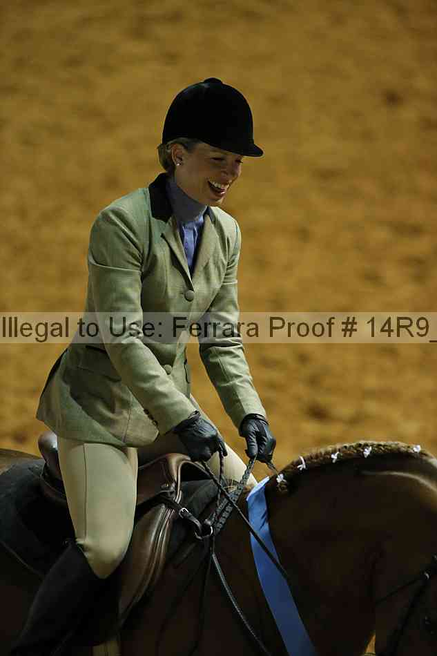 Proof Number 14r9_0336