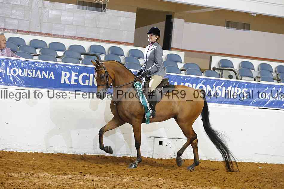 Proof Number 14r9_0344