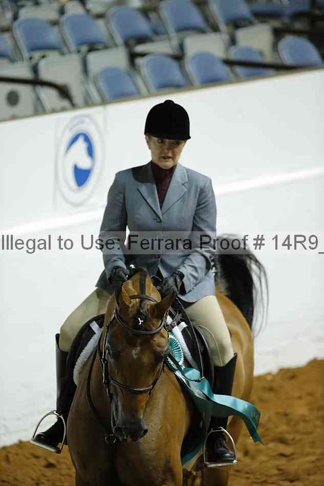 Proof Number 14r9_0351