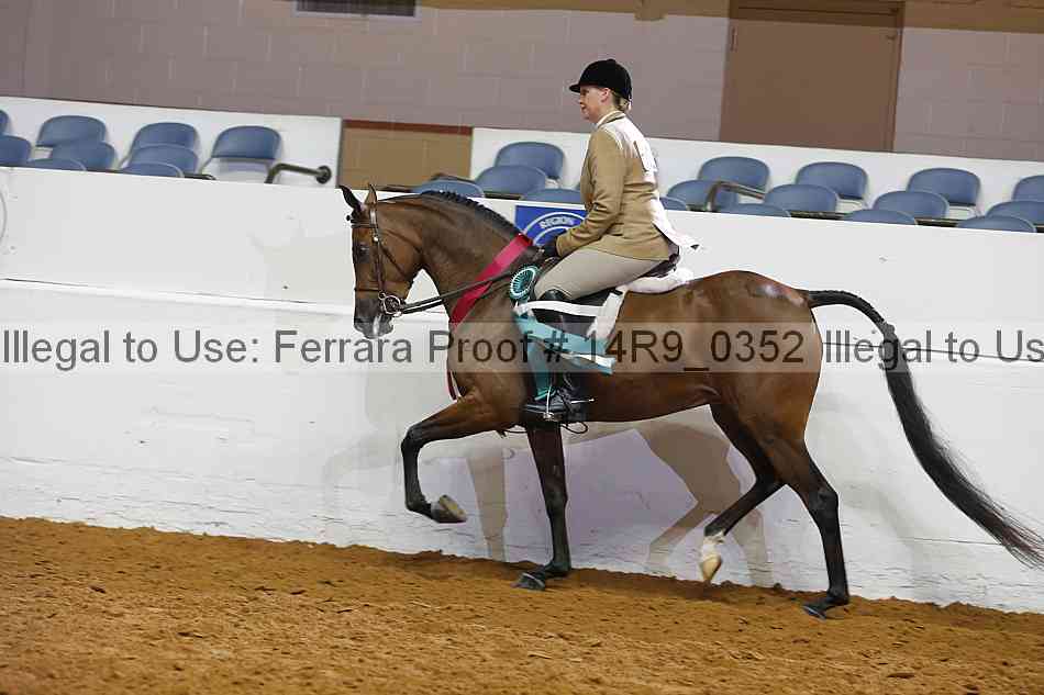 Proof Number 14r9_0352