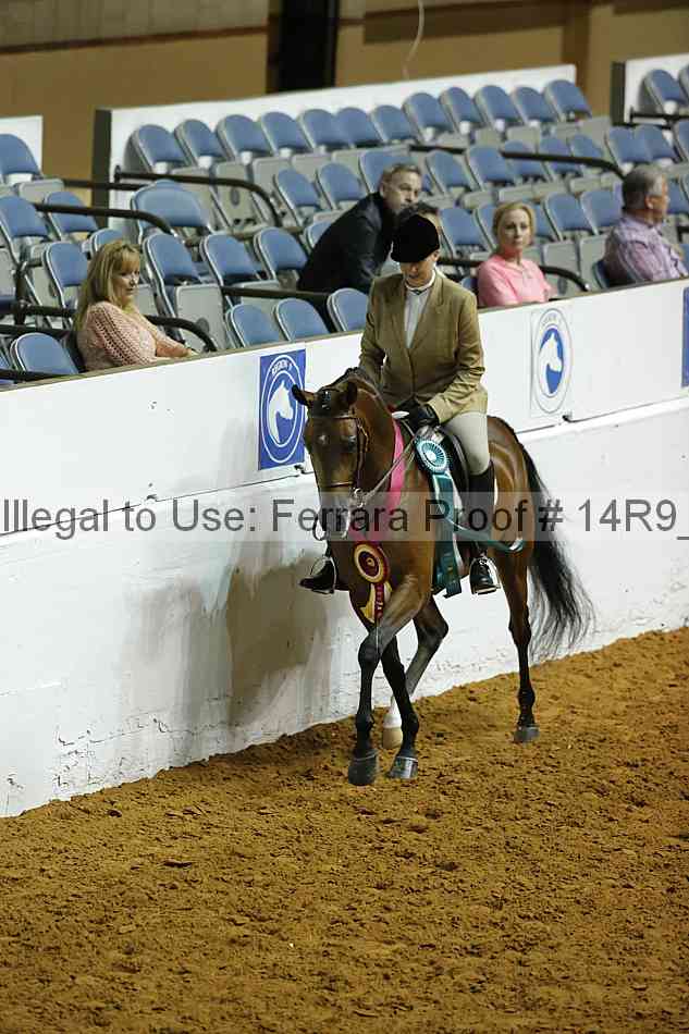 Proof Number 14r9_0354