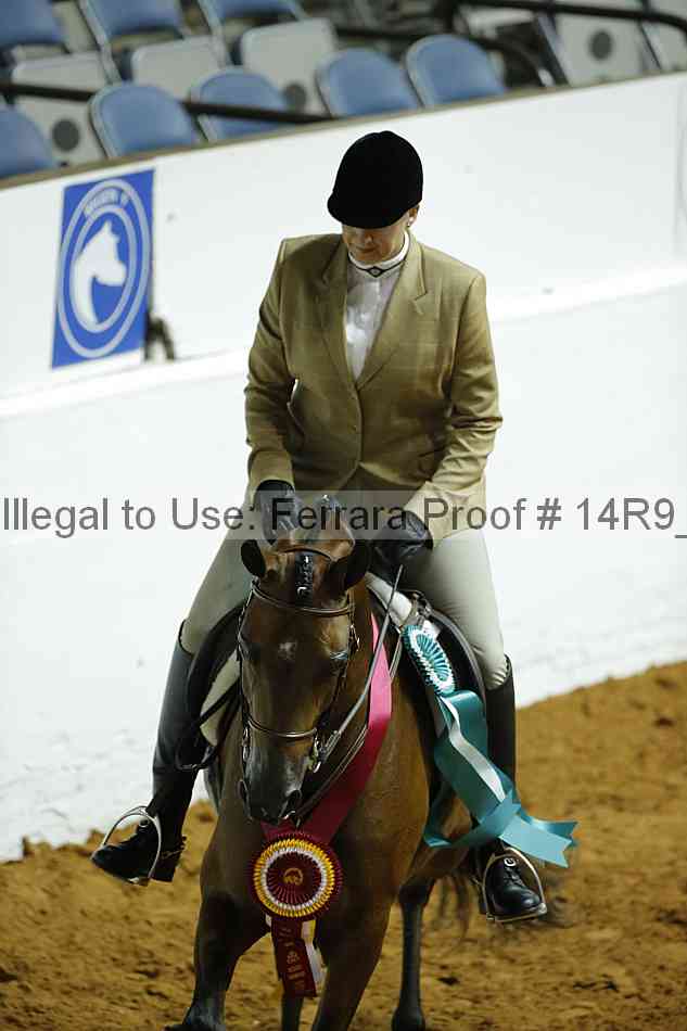 Proof Number 14r9_0355