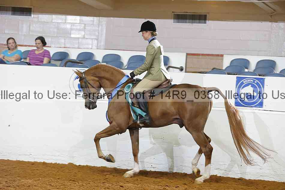 Proof Number 14r9_0358