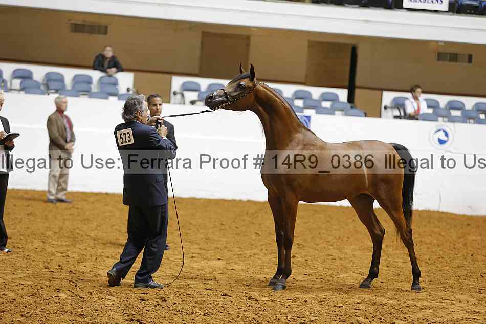 Proof Number 14r9_0386