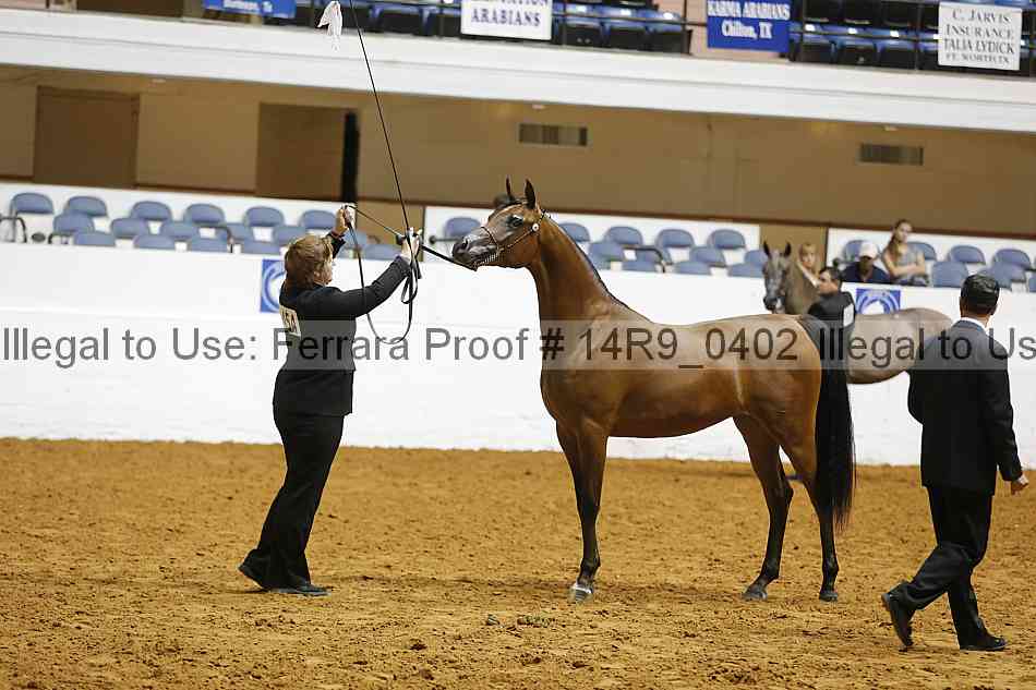 Proof Number 14r9_0402