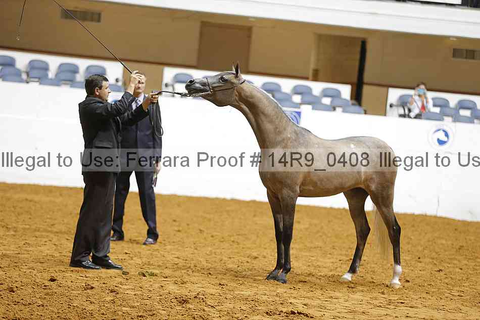 Proof Number 14r9_0408