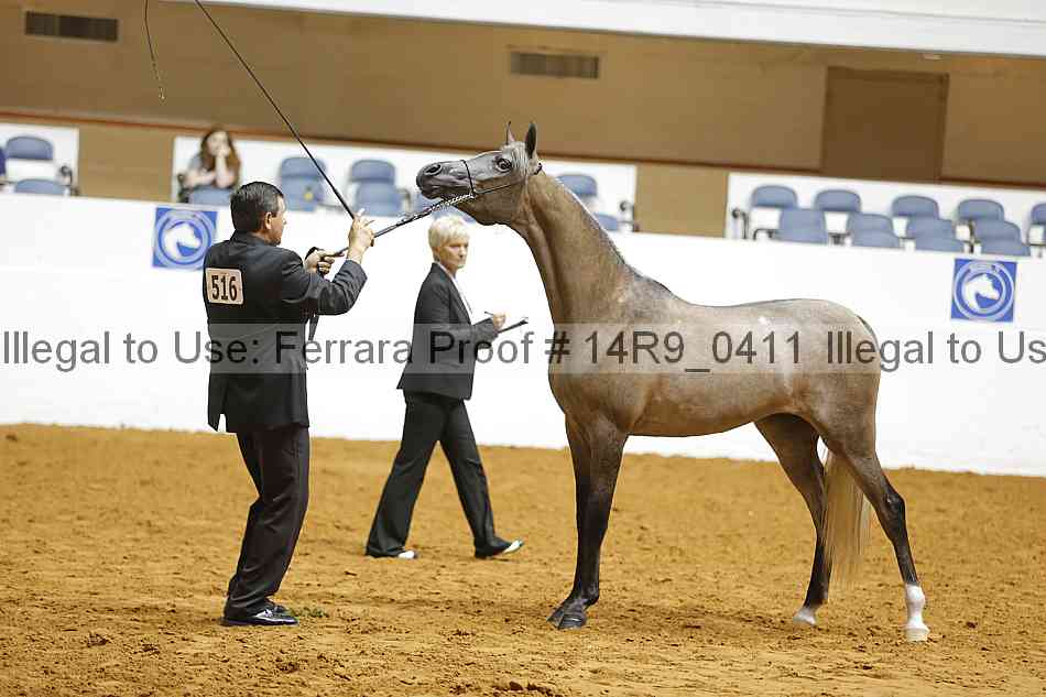 Proof Number 14r9_0411