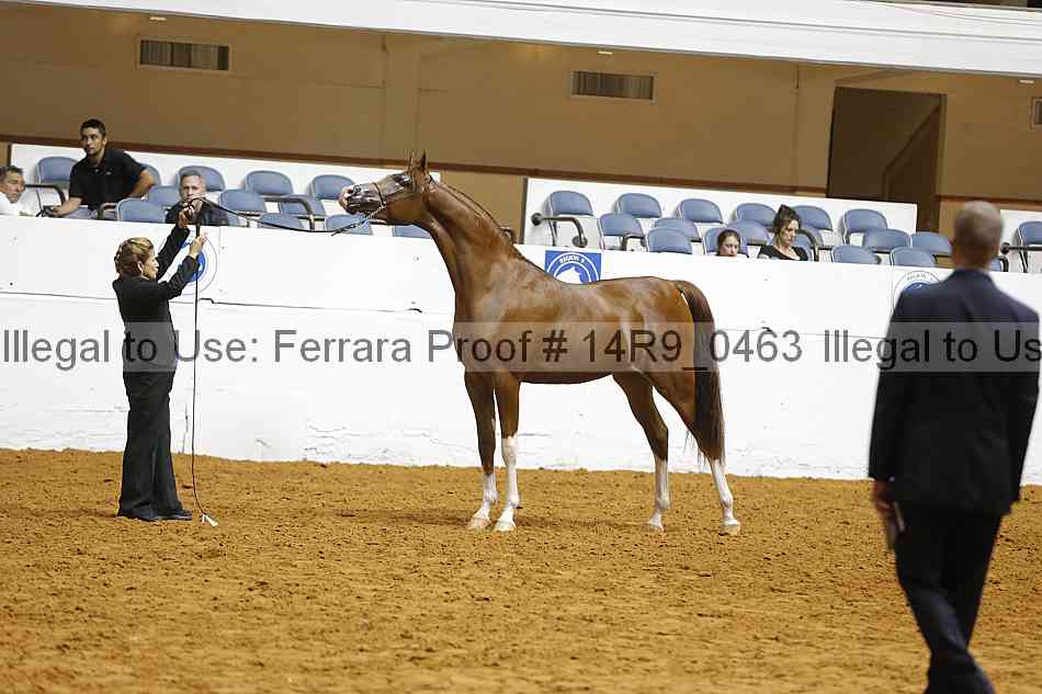 Proof Number 14r9_0463