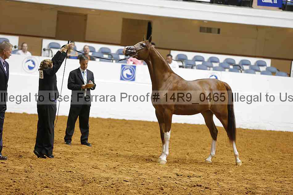 Proof Number 14r9_0465
