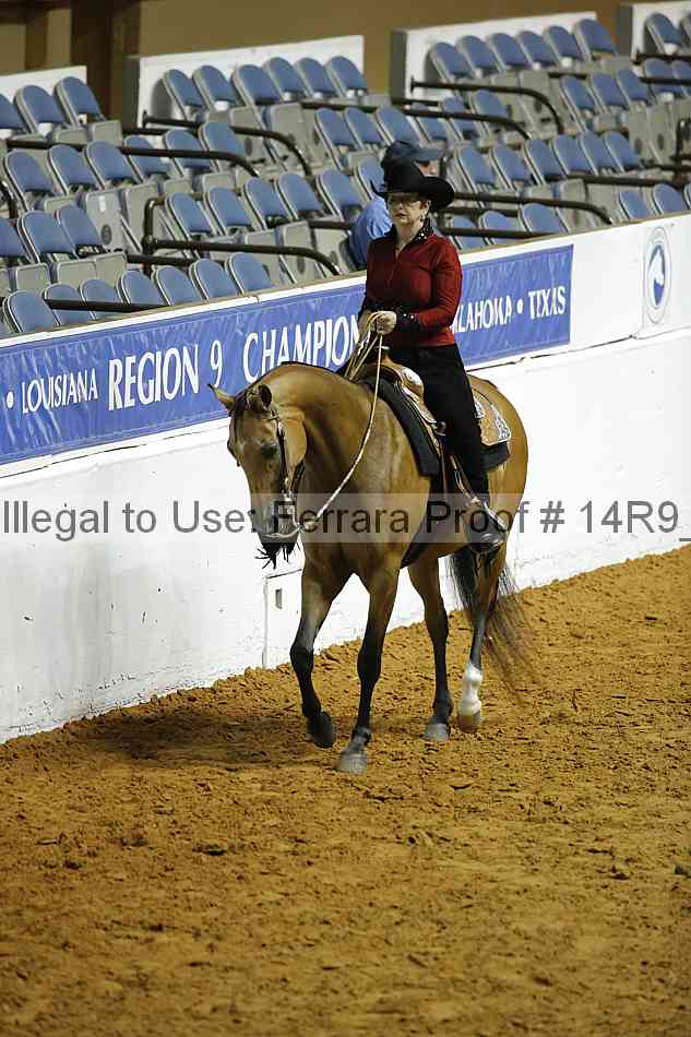 Proof Number 14r9_0500