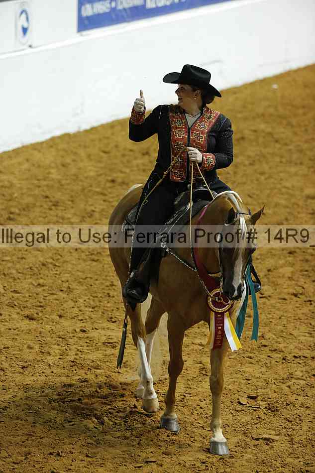 Proof Number 14r9_0519