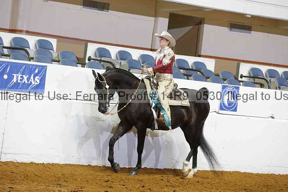 Proof Number 14r9_0530