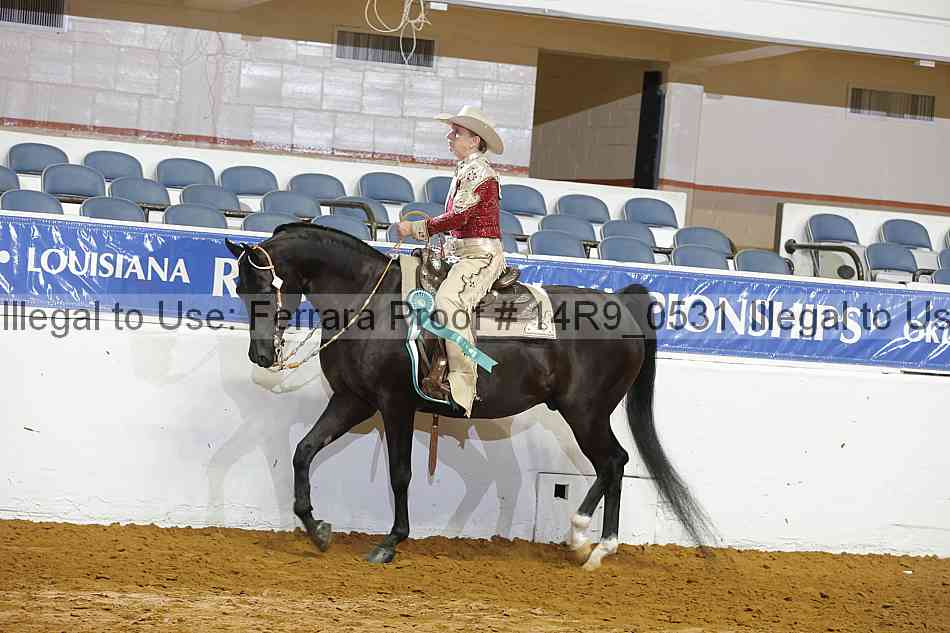 Proof Number 14r9_0531