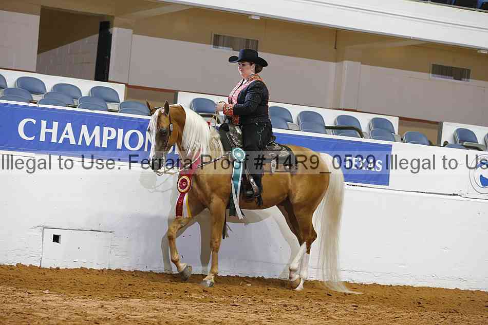 Proof Number 14r9_0539