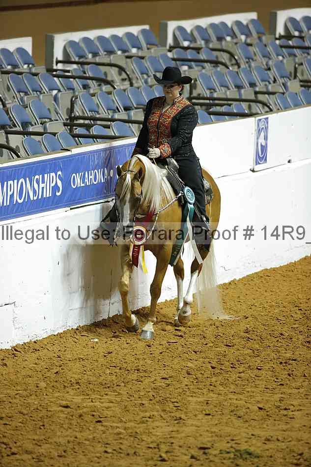 Proof Number 14r9_0541