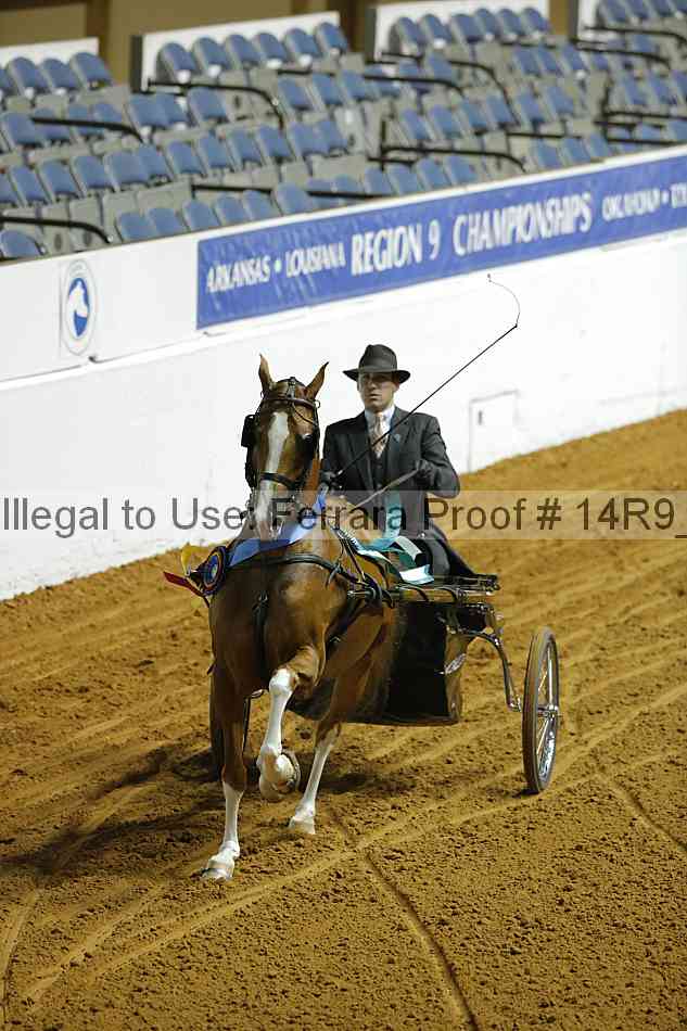 Proof Number 14r9_0575