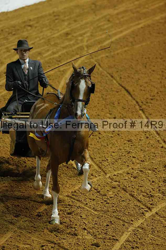 Proof Number 14r9_0576