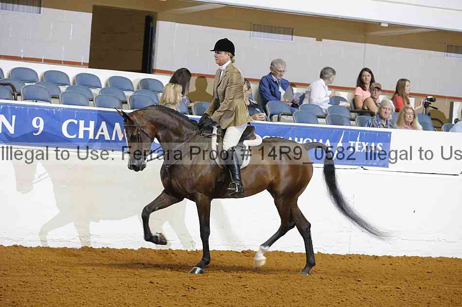 Proof Number 14r9_0582