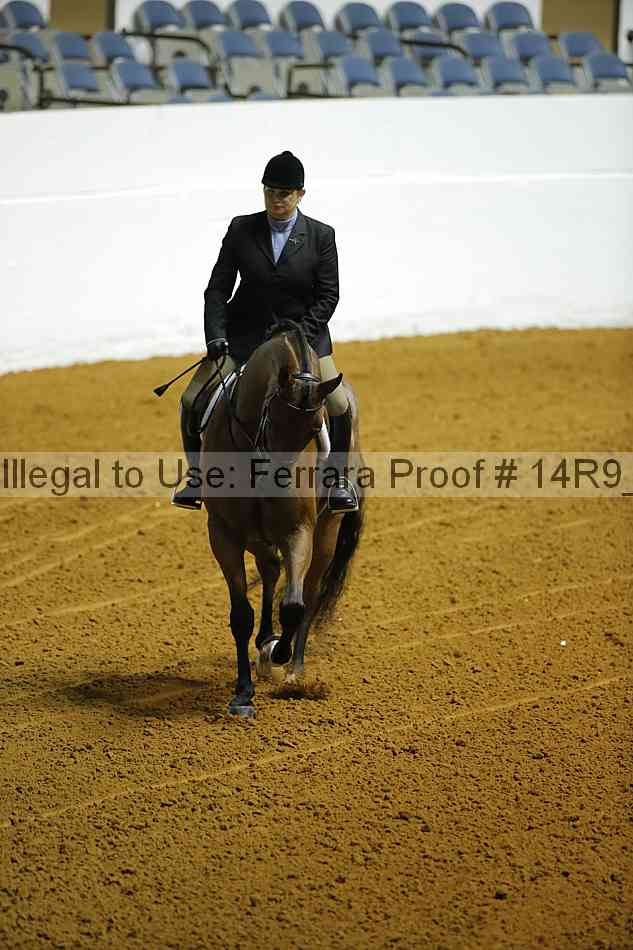 Proof Number 14r9_0584