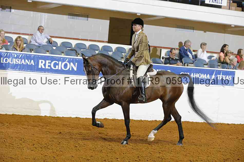 Proof Number 14r9_0593
