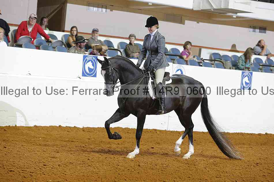 Proof Number 14r9_0600