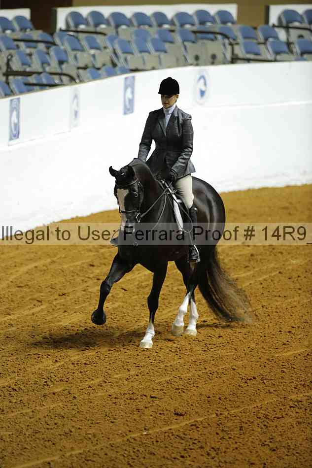 Proof Number 14r9_0607
