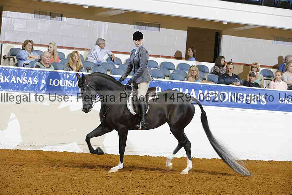 Proof Number 14r9_0620