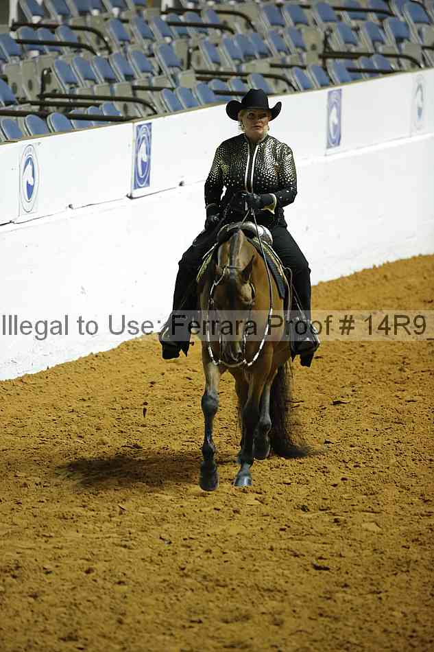 Proof Number 14r9_0662
