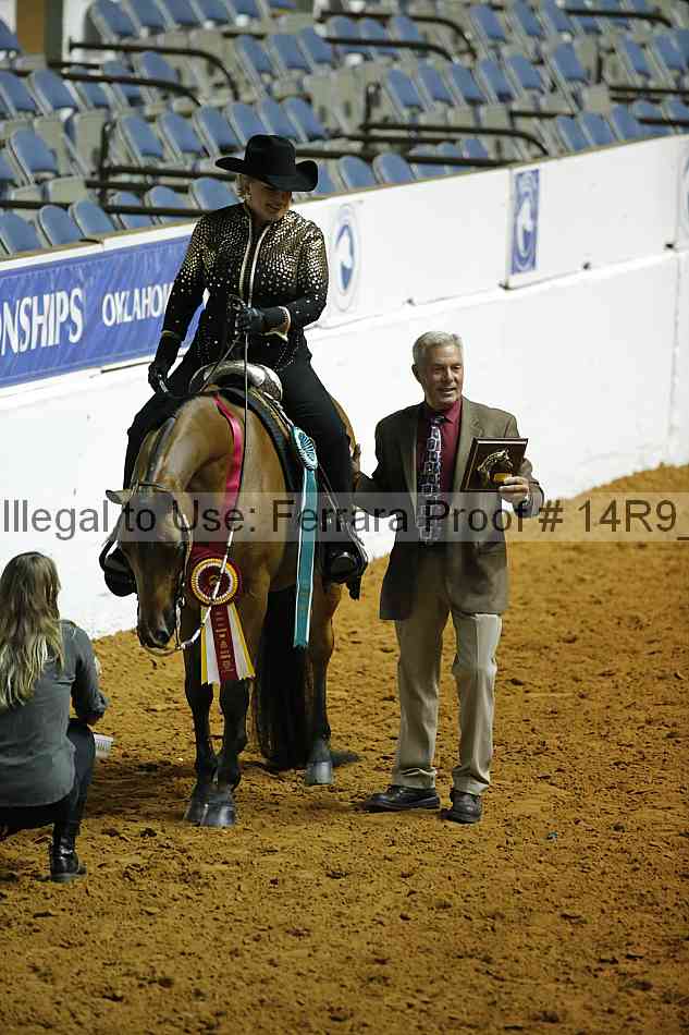 Proof Number 14r9_0685