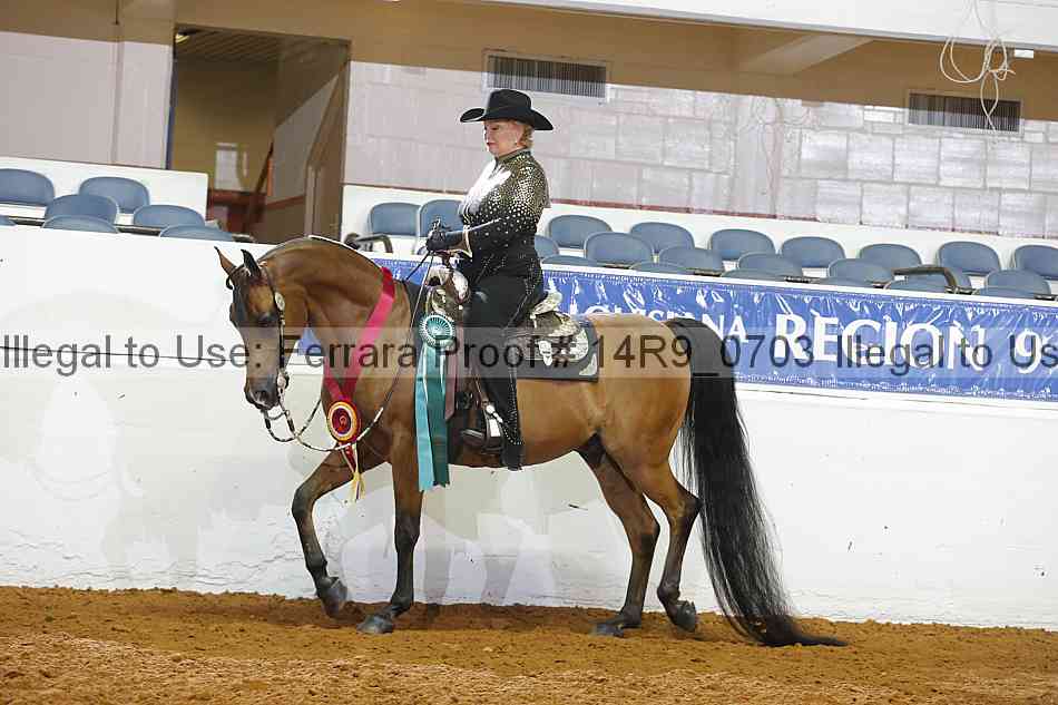 Proof Number 14r9_0703