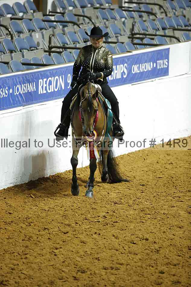 Proof Number 14r9_0704