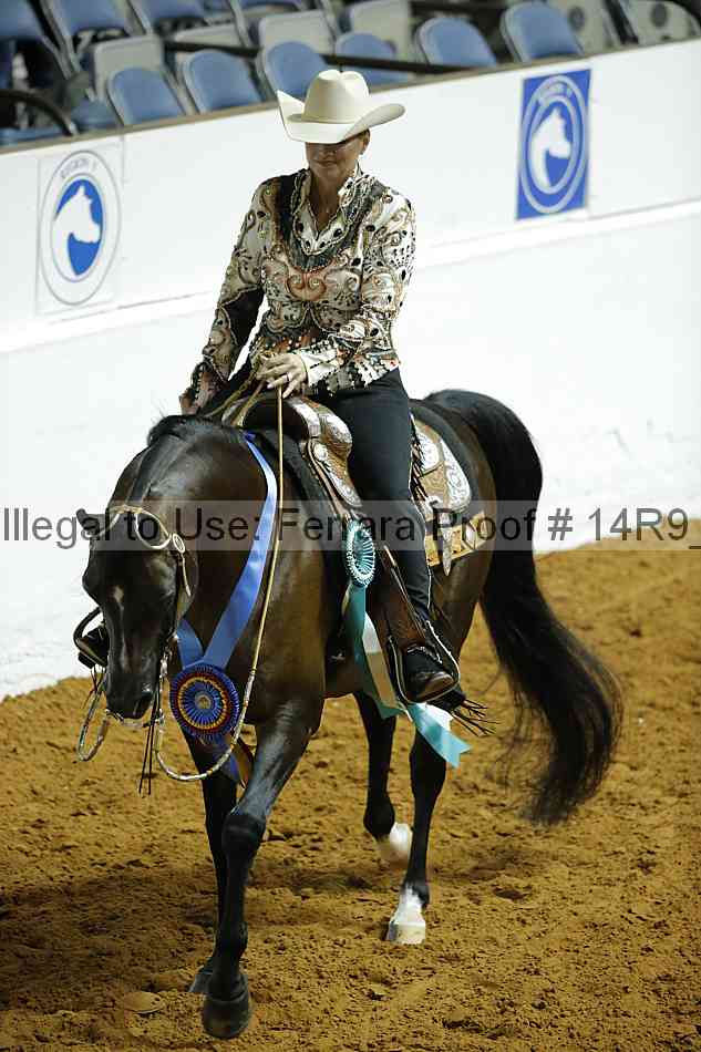 Proof Number 14r9_0709
