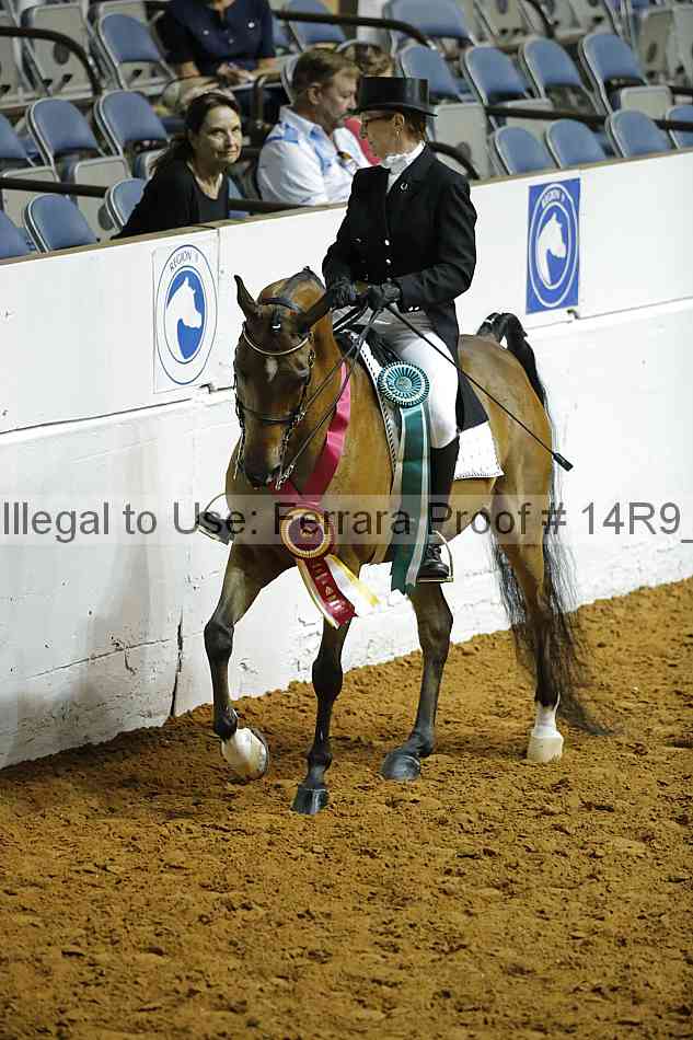 Proof Number 14r9_0741