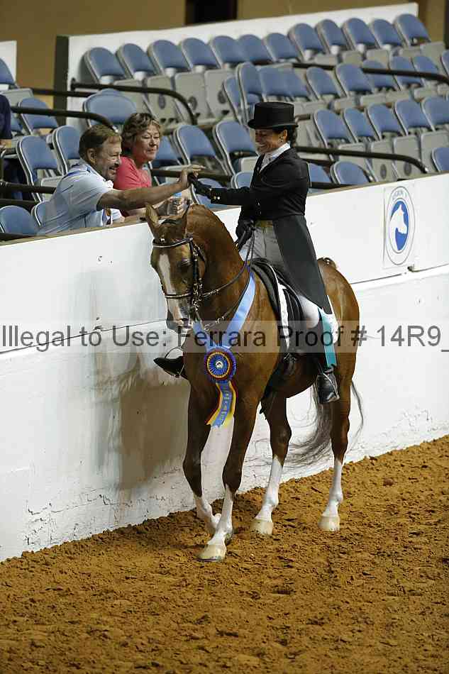 Proof Number 14r9_0750